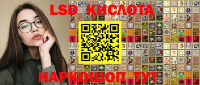 гашик Кулебаки