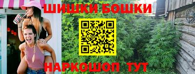 гашик Кулебаки
