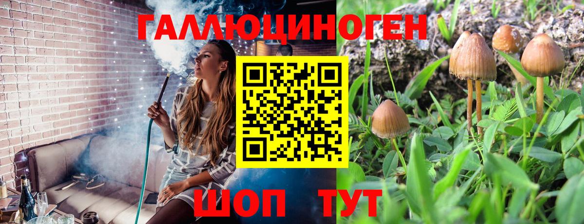 Псилоцибиновые грибы Cubensis  Вход с VPN  Ижевск 